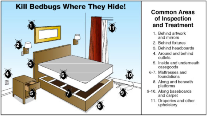 Milberger Pest Control Where Bed Bugs Hide