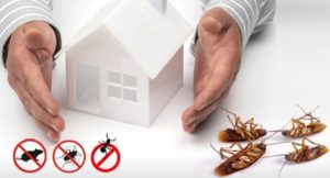 Pest Control in the winter is still necessary.