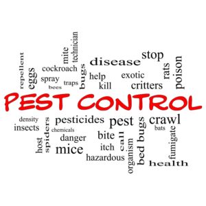 Pest control with exterminator service Milberger gets rid of pests.