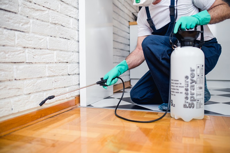 Exterminators like Milberger can get rid of spiders in your home or business.