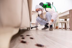 Hiring an exterminator to protect your home or business from unwanted pests is crucial to protecting what may be the biggest investment you ever make.