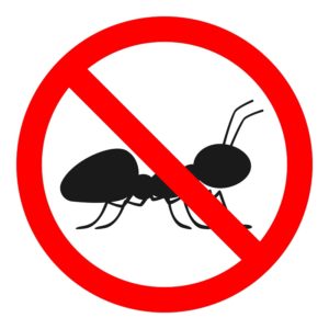 When ants make their way from the patio, through the garage, and into your home, it’s time to call for exterminator service from Milberger Pest Control.