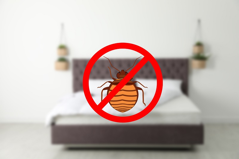 Bedbugs in Kansas City homes are nearly impossible to remove on your own, but the experts at Everett Milberger Pest Control are here to help.