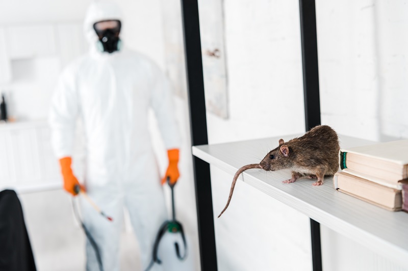 Comprehensive pest control is crucial to protect what may be the biggest investment you ever make, and no city is immune to pests.
