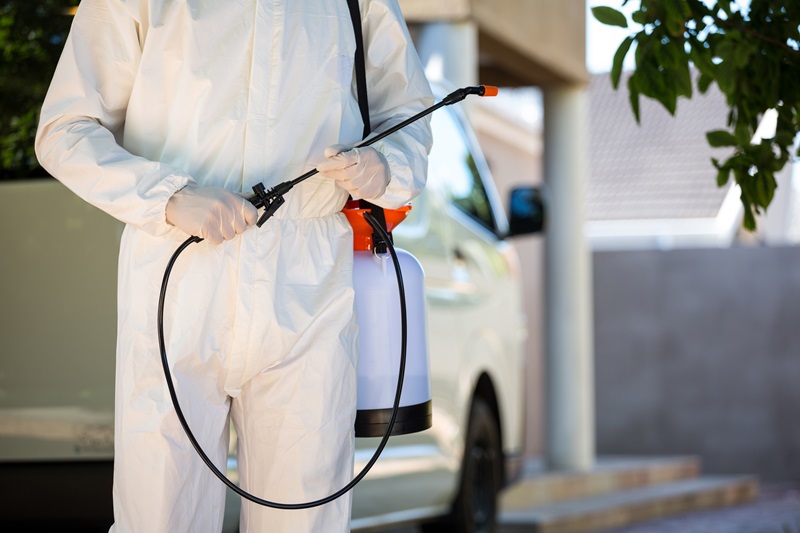 Pest Control Milberger pest Control kansas CIty AdobeStock_106890088