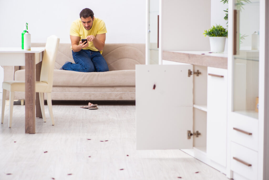 Disturbed Homeowner on his smartphone taking a pictures of the cockroaches everywhere.