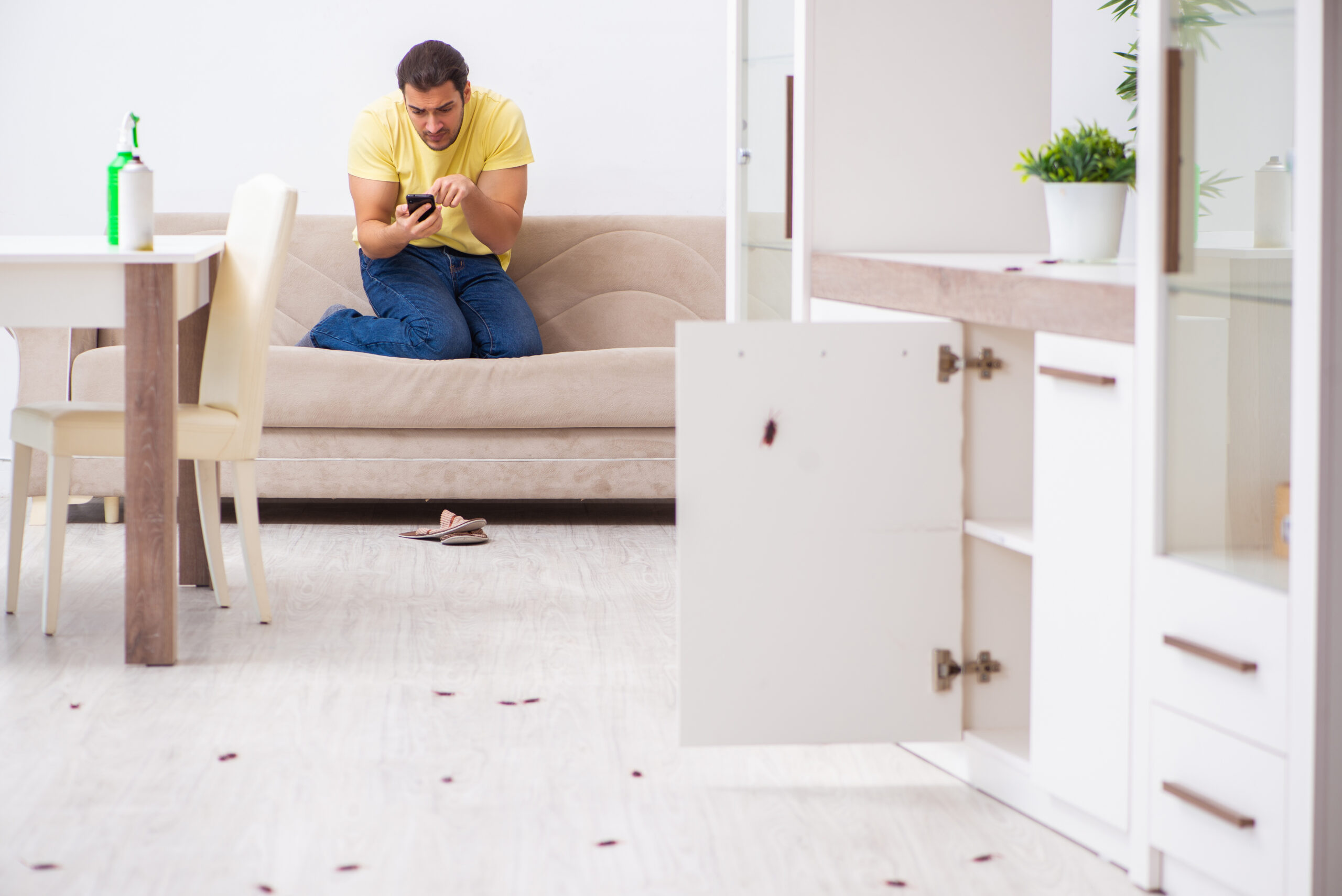 In a living room with cockroaches everywhere. A concerned man on his couch is dialing on his smartphone.
