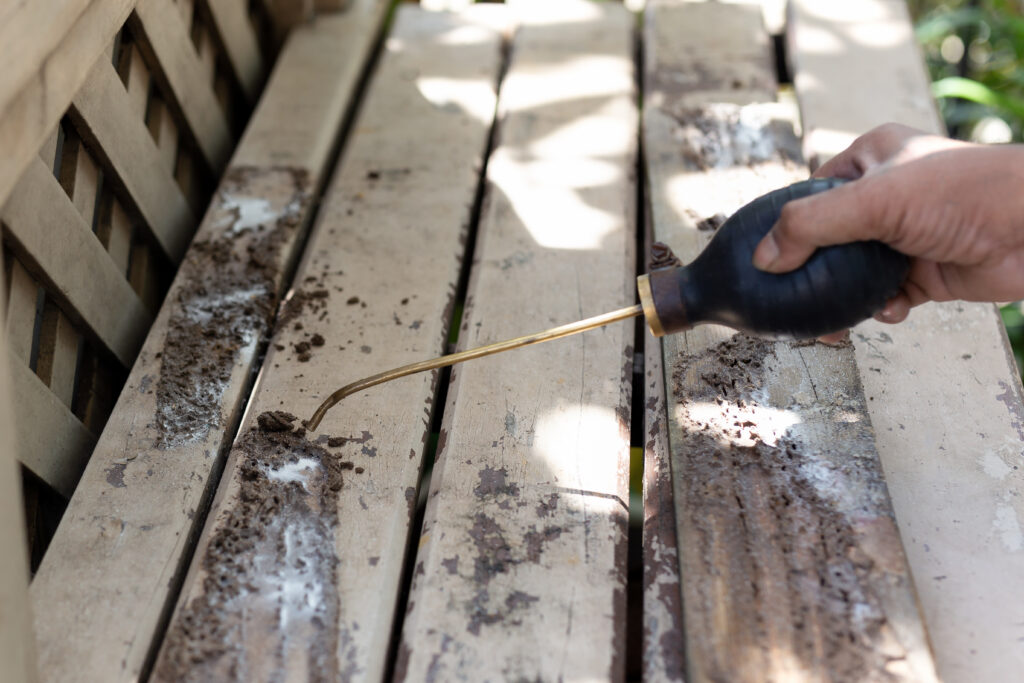 Milberger termite exterminator AdobeStock_211934310_ Digital advertising REAL Moxie LLC